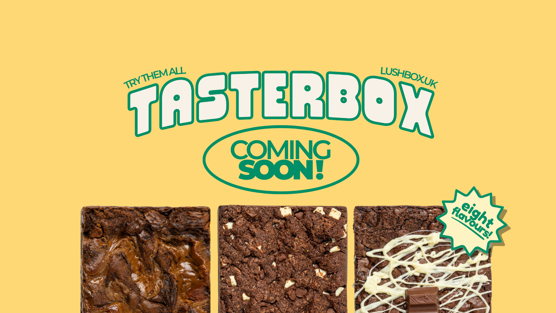 Lushbox traybakes on a plate in summer sunlight